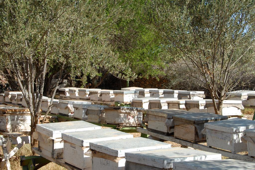 Hotel Aladarissa Ait Baha Ait Taksimt Esterno foto